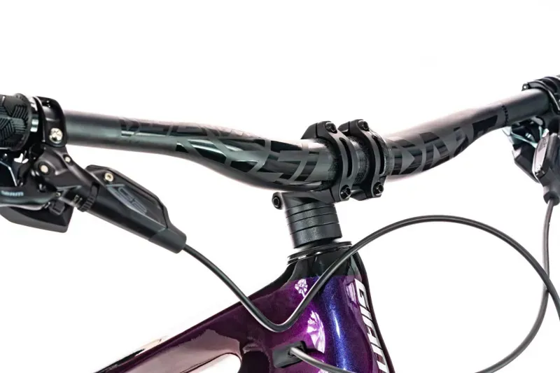 2020 Giant Trance Advanced Pro 29 0 Carbon FS Mountain Bike in Purple-1