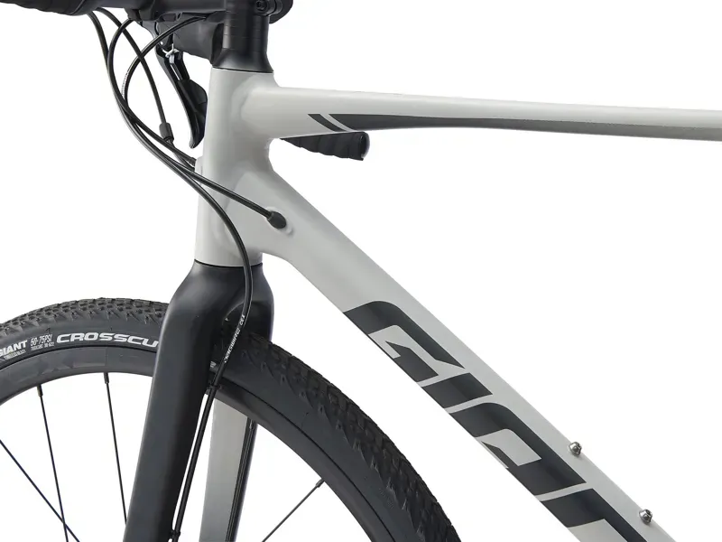 2021 Giant Revolt 2 Gravel Bike in Grey-1