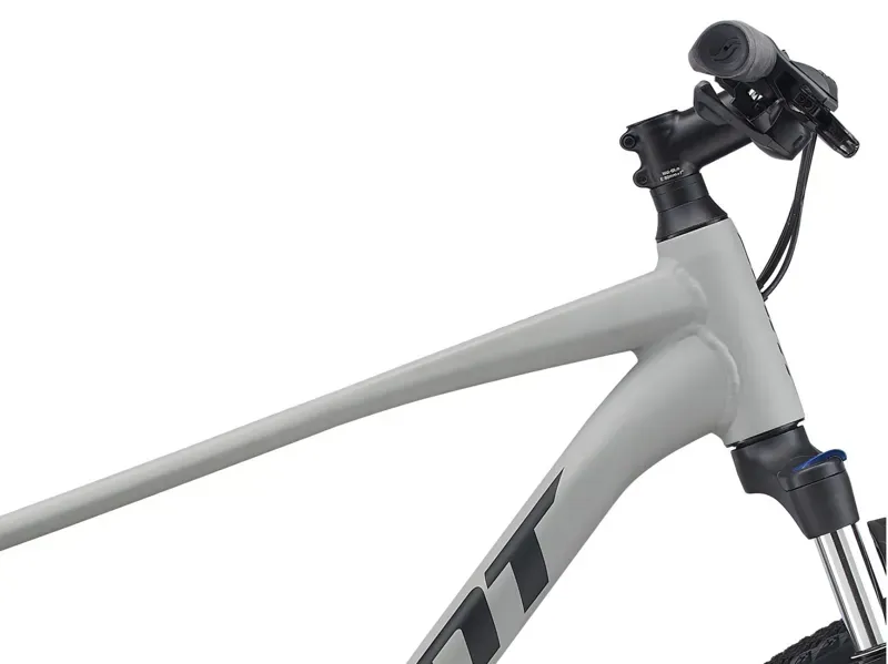 2021 Giant Roam 3 Disc Hybrid Bike in Grey-3